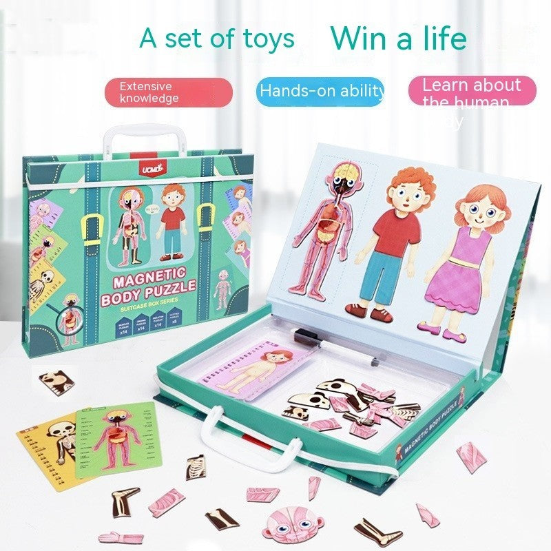 Early Education Toys for Kids