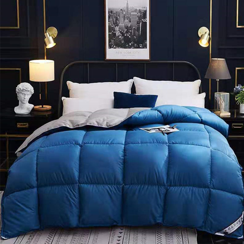 Winter Duvet, Goose Down Duvet Core