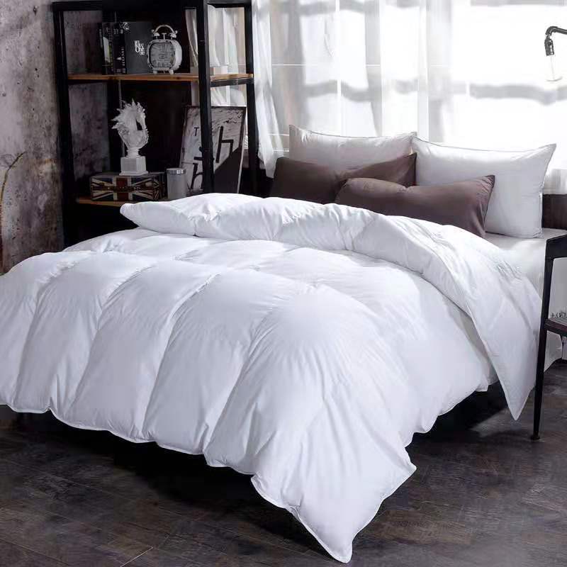 Winter Duvet, Goose Down Duvet Core