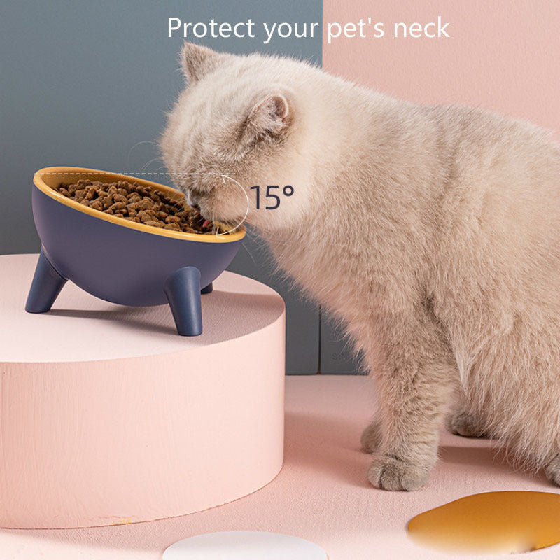 Pets Feeding Bowl With Stand