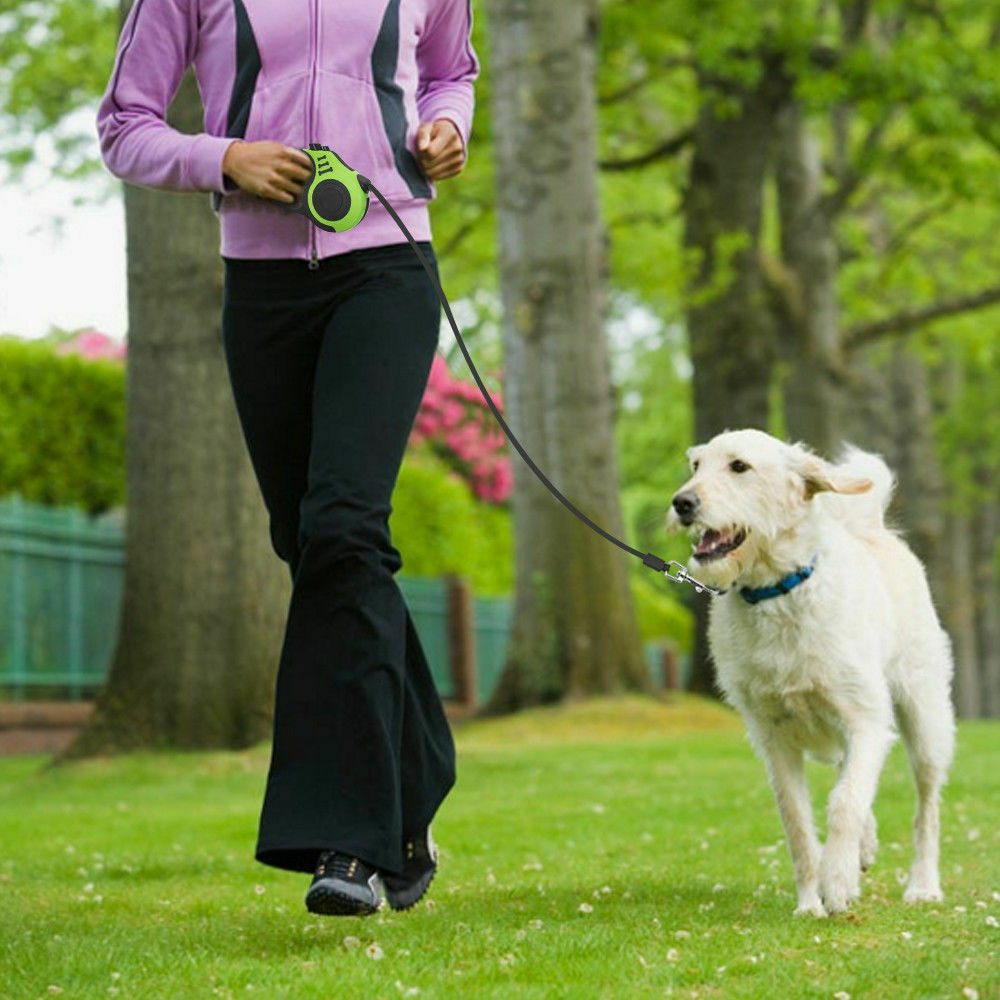 Automatic Retractable Dog Leash Collar