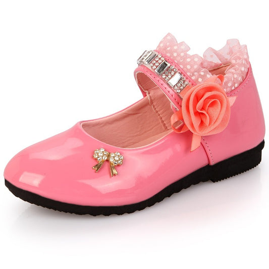 Princess Dancing Shoes