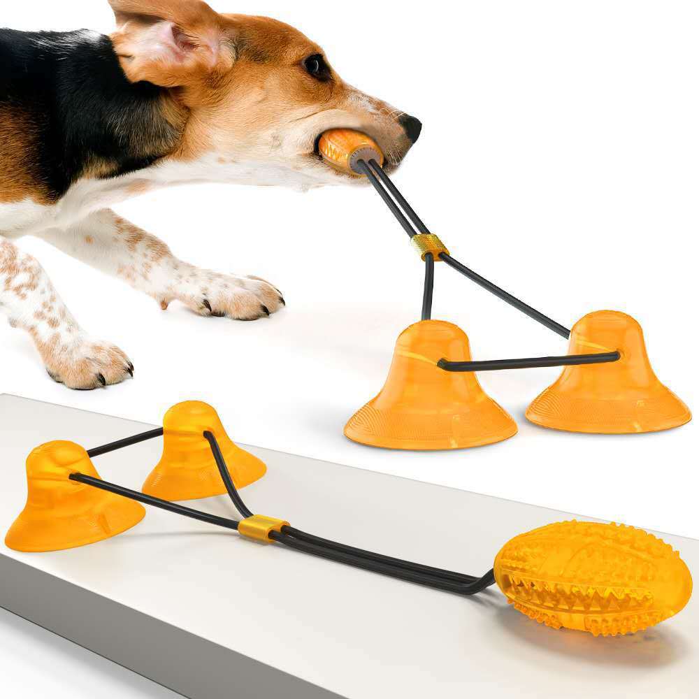 Suction Cup Dog Toys