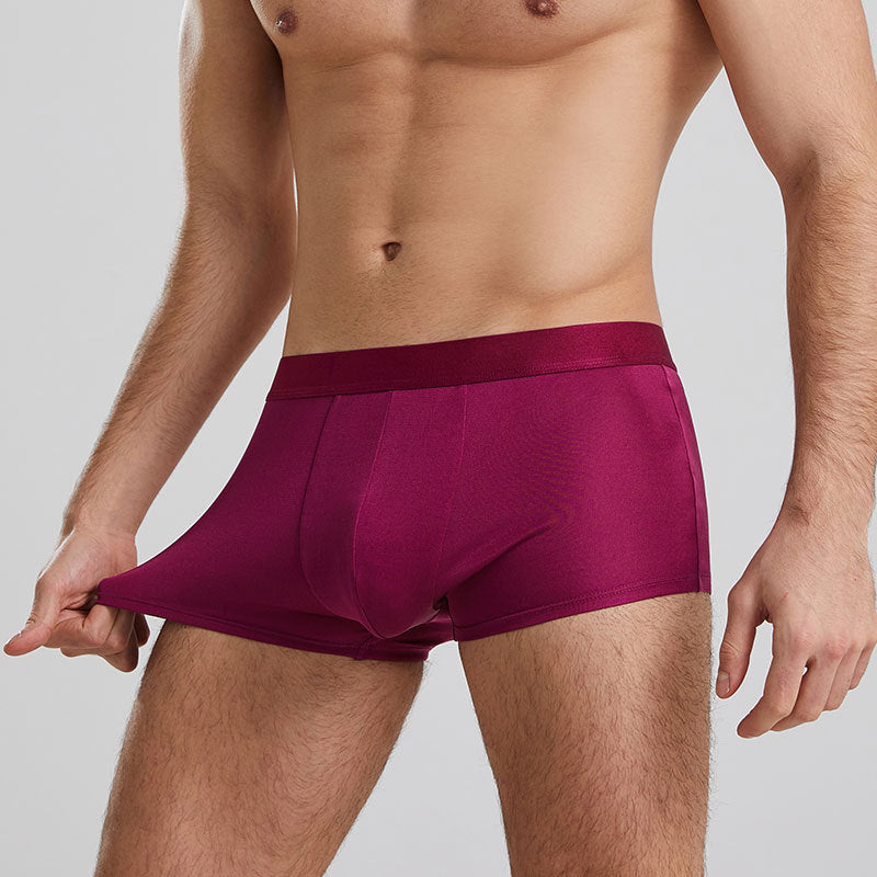 Men's Mulberry Silk Boxers