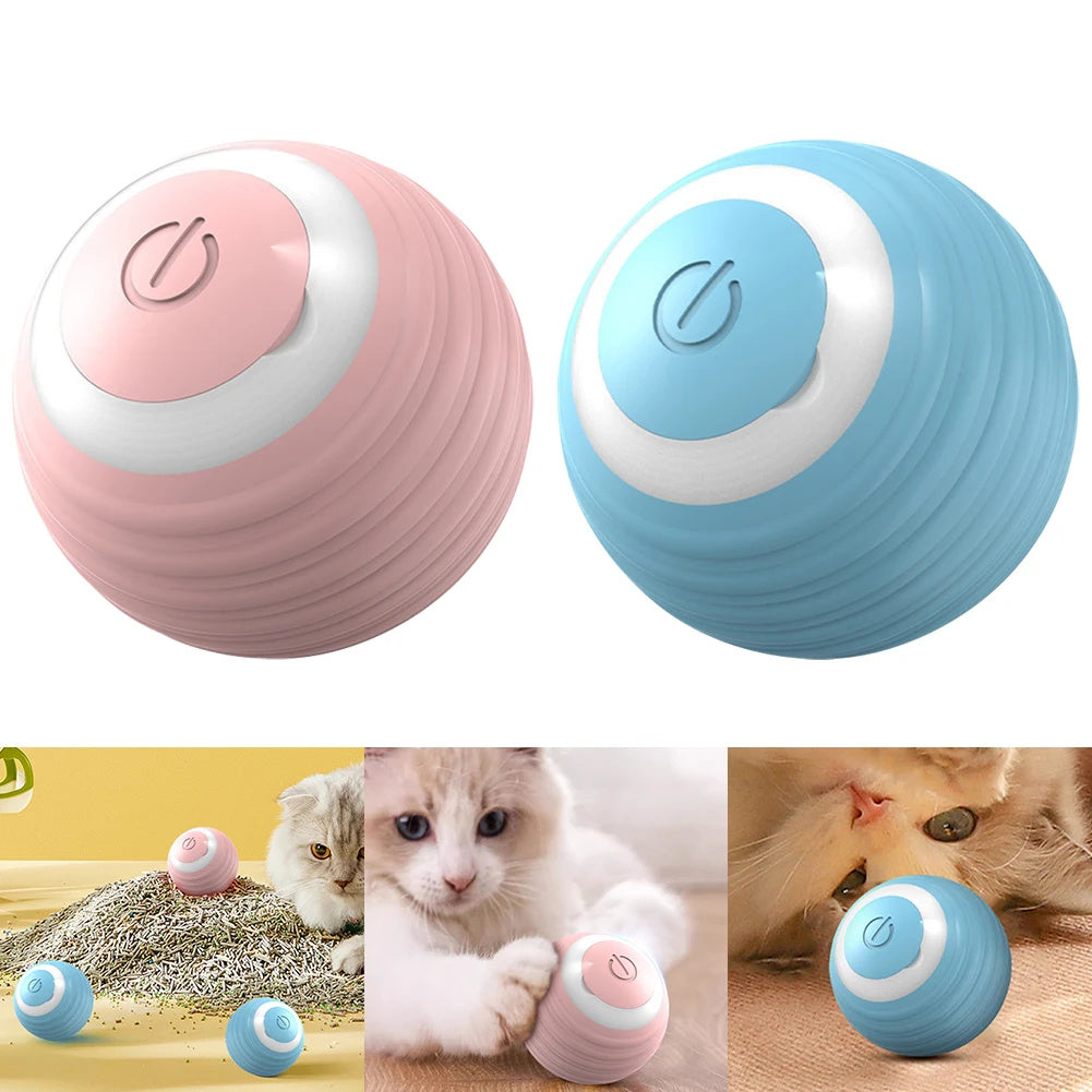 Self-Moving Kitten Toy