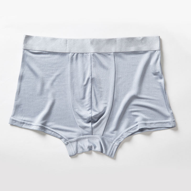 Men's Mulberry Silk Boxers