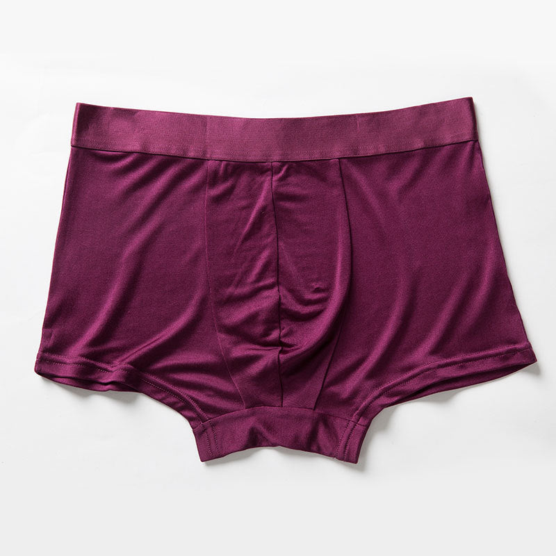 Men's Mulberry Silk Boxers