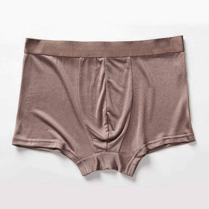 Men's Mulberry Silk Boxers